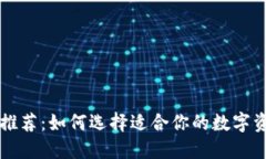 区块链钱包推荐：如何选择适合你的数字资产管