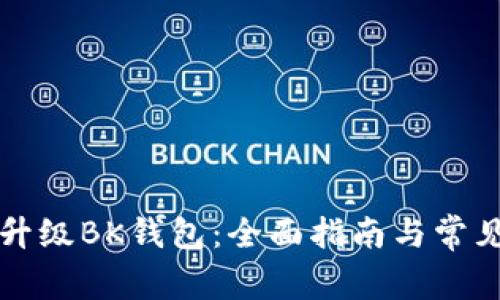 如何顺利升级BK钱包：全面指南与常见问题解析