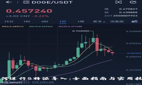如何进行B特派导入：全面指南与实用技巧