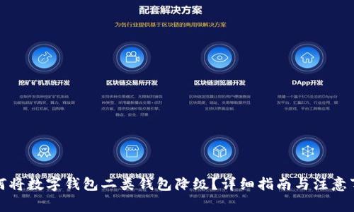 如何将数字钱包二类钱包降级？详细指南与注意事项