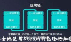 如何安全地使用Steam钱包进行加密支付？