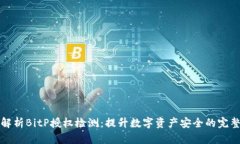 全面解析BitP授权检测：提升数字资产安全的完整