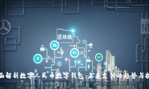 全面解析数字人民币数字钱包：未来支付的趋势与挑战