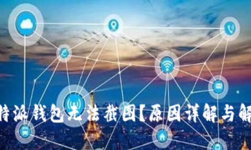 为何B特派钱包无法截图？原因详解与解决方法