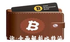 比特派最新记录查询：全面解析比特派数字资产