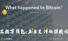 江苏数字钱包：未来支付的便捷之选