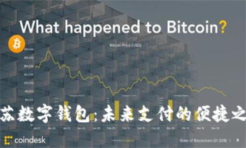 江苏数字钱包：未来支付的便捷之选