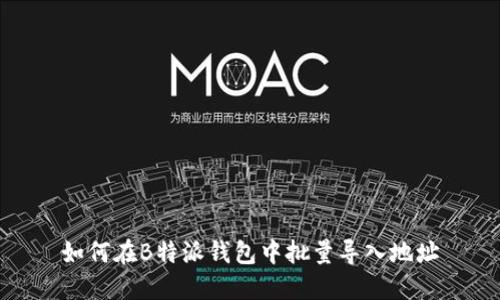如何在B特派钱包中批量导入地址