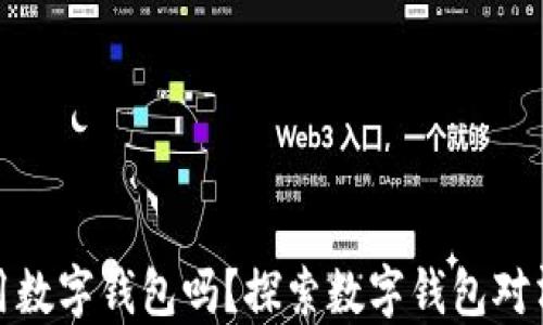 
清美可以用数字钱包吗？探索数字钱包对清美的影响