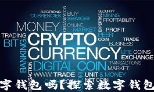 
清美可以用数字钱包吗？探索数字钱包对清美的影响