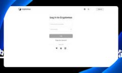 数字钱包号码的位数：全面解析与使用指南