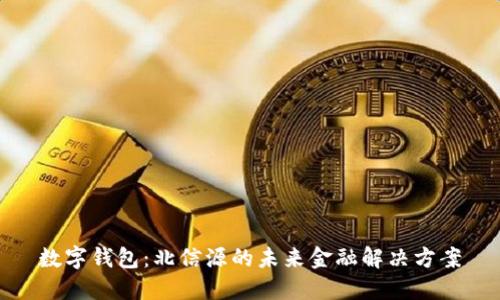 数字钱包：北信源的未来金融解决方案