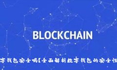 优质云端数字钱包安全吗？全面解析数字钱包的