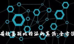 如何有效鉴别比特派的真伪：全方位指南