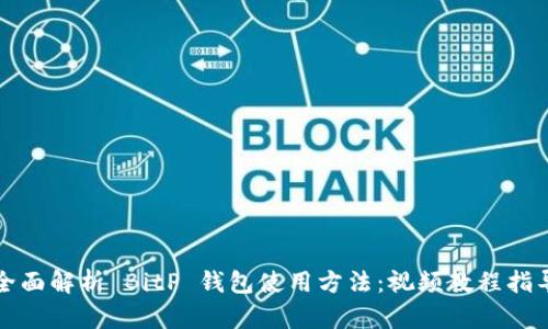 全面解析 BitP 钱包使用方法：视频教程指导