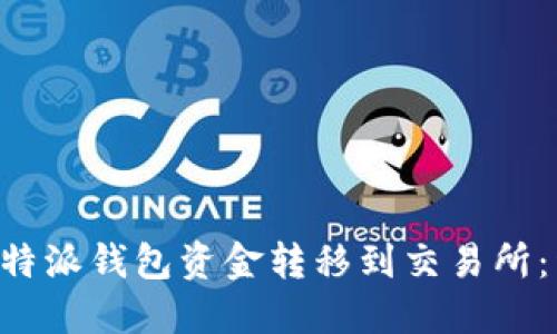 如何将B特派钱包资金转移到交易所：详细指南