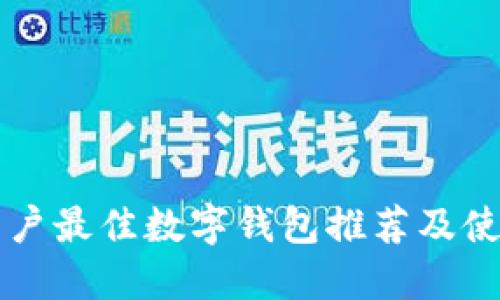 苹果用户最佳数字钱包推荐及使用指南
