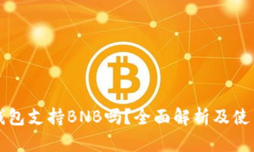BitP钱包支持BNB吗？全面解析及使用指南