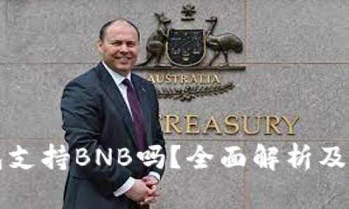 BitP钱包支持BNB吗？全面解析及使用指南