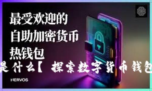 数字货币钱包是什么？ 探索数字货币钱包的样式与功能