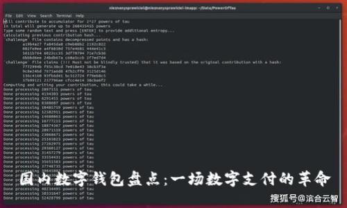 国内数字钱包盘点：一场数字支付的革命