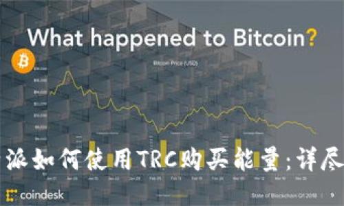 比特派如何使用TRC购买能量：详尽指导