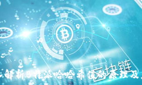   
深入解析B特派哈哈希值的原理及应用