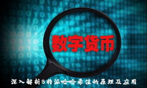   
深入解析B特派哈哈希值的原理及应用