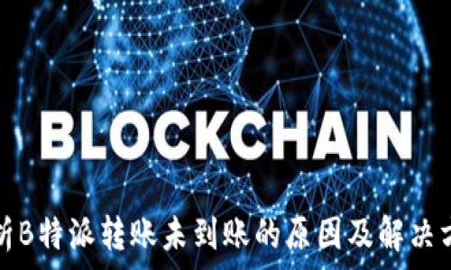   
解析B特派转账未到账的原因及解决方案