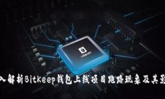 深入解析BitKeep钱包上线项目跑路现象及其影响
