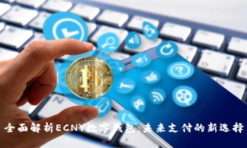 全面解析ECNY数字钱包：未来支付的新选择