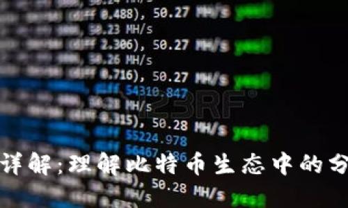 比特派分叉详解：理解比特币生态中的分叉及其影响