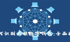 如何识别大额数字钱包：全面指南