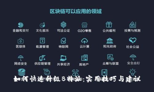 如何快速升级B特派：实用技巧与建议