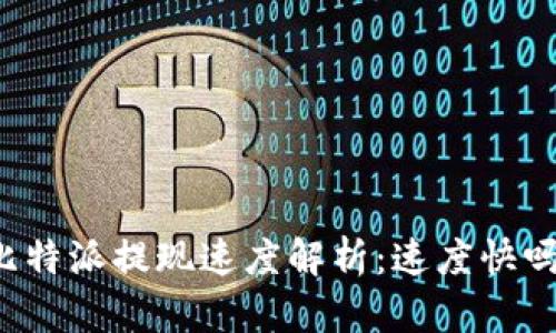 比特派提现速度解析：速度快吗？