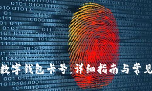 如何查询数字钱包卡号：详细指南与常见问题解答
