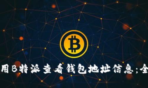 如何使用B特派查看钱包地址信息：全面指南