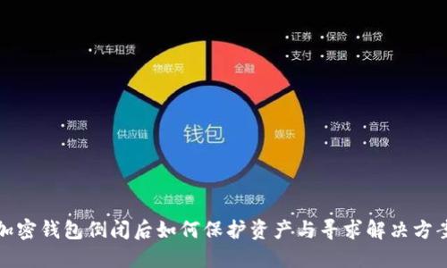 加密钱包倒闭后如何保护资产与寻求解决方案