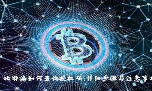 : 比特派如何查询授权码：详细步骤与注意事项