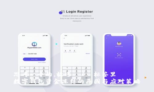 思考一个的，放进  /  标签里  
数字钱包资金冻结的原因与应对策略