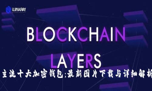 主流十大加密钱包：最新图片下载与详细解析