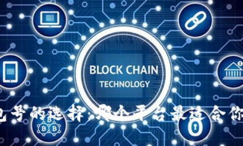 数字钱包号的选择：哪个平台最适合你的需求？