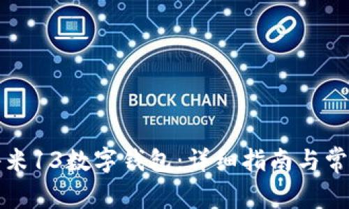 如何开启小米13数字钱包：详细指南与常见问题解答