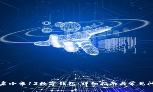 如何开启小米13数字钱包：详细指南与常见问题解答