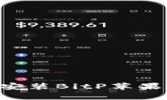 如何下载和安装BitP苹果版：完整指南