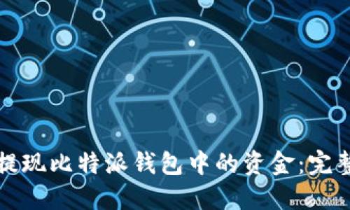 如何提现比特派钱包中的资金：完整指南