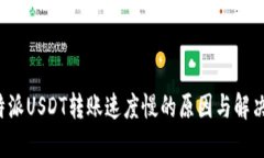  比特派USDT转账速度慢的原因与解决方法