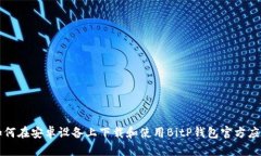 如何在安卓设备上下载和使用BitP钱包官方应用