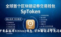 如何下载和使用BitKeep钱包：详细解说与常见问题