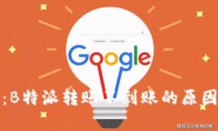 全方位解析：B特派转账不到账的原因及解决方案